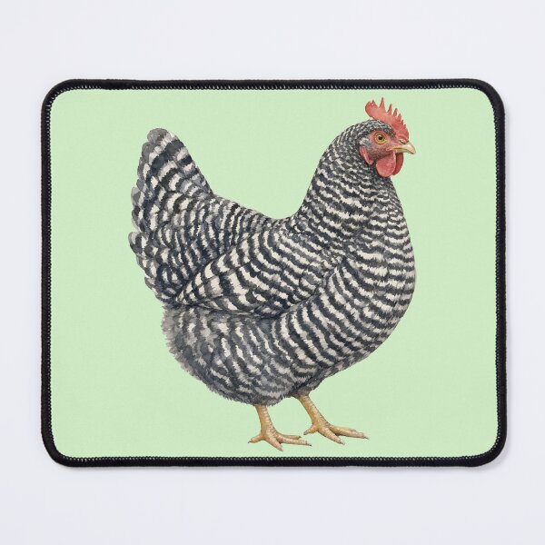 Item preview, Holland Chicken Endangered Livestock Conservation: Critical designed and sold by LuxeHurricane.