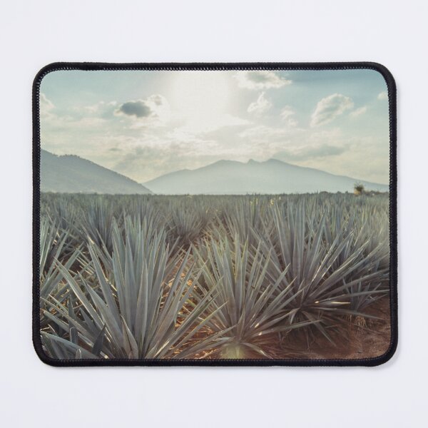 Item preview, Agave Fields Forever designed and sold by The Art Framing Company.