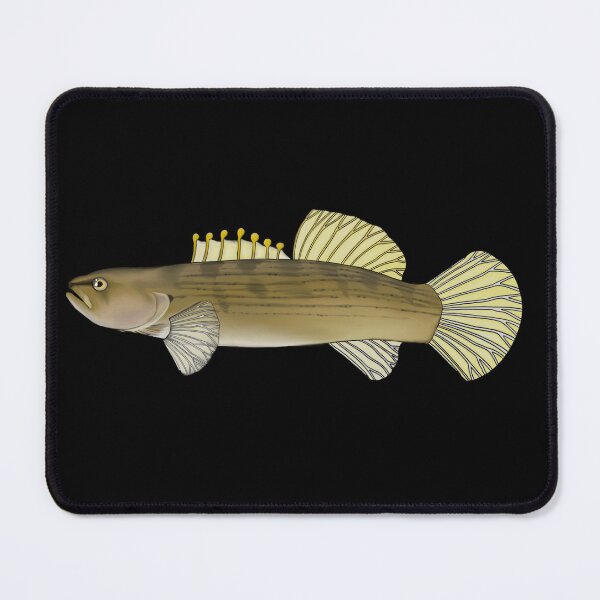 Item preview, Fantail Darter designed and sold by LittleClayFrog.