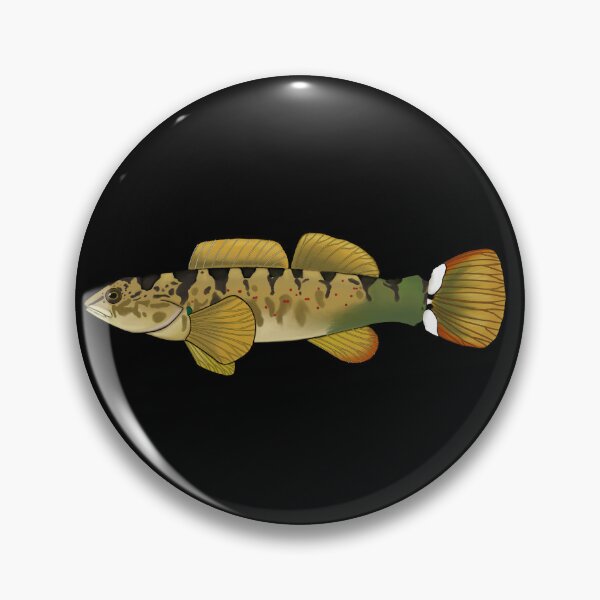 Item preview, Caney Fork Darter designed and sold by LittleClayFrog.