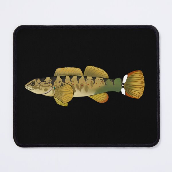 Item preview, Caney Fork Darter designed and sold by LittleClayFrog.
