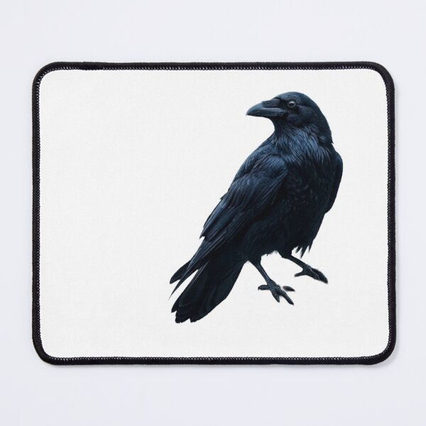 Item preview, Raven designed and sold by BrainGrafic.