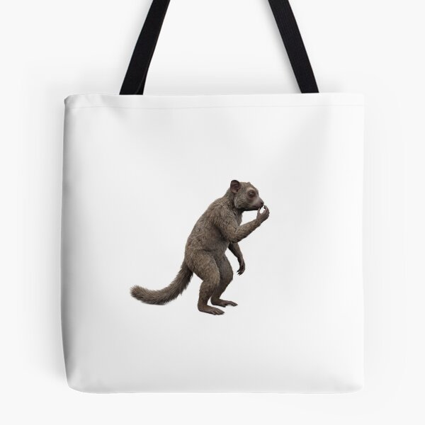 Item preview, Plesiadapis designed and sold by EH-Perrison.