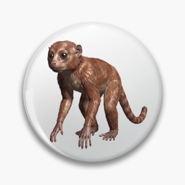 Item preview, Darwinius masillae designed and sold by EH-Perrison.