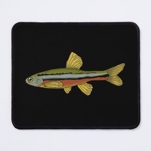 Item preview, Northern Redbelly Dace designed and sold by LittleClayFrog.