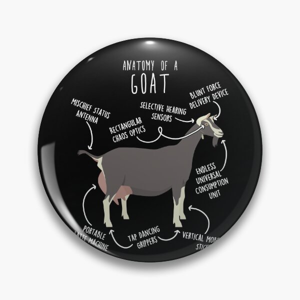 Item preview, Toggenburg Goat Anatomy designed and sold by Clara Hollins.