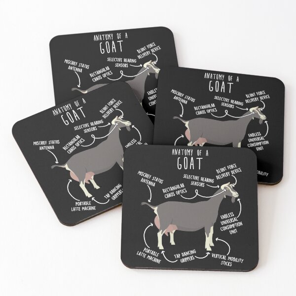 Item preview, Toggenburg Goat Anatomy designed and sold by Clara Hollins.
