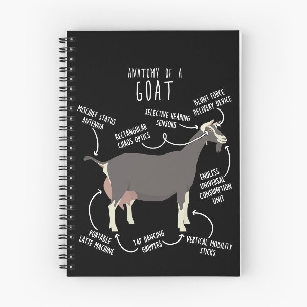 Item preview, Toggenburg Goat Anatomy designed and sold by Clara Hollins.