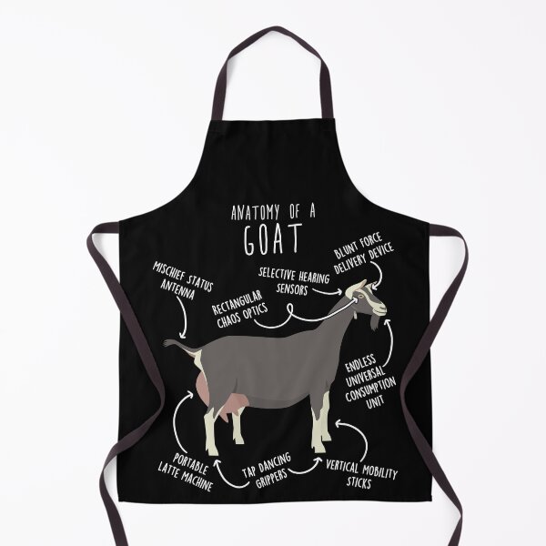 Item preview, Toggenburg Goat Anatomy designed and sold by Clara Hollins.
