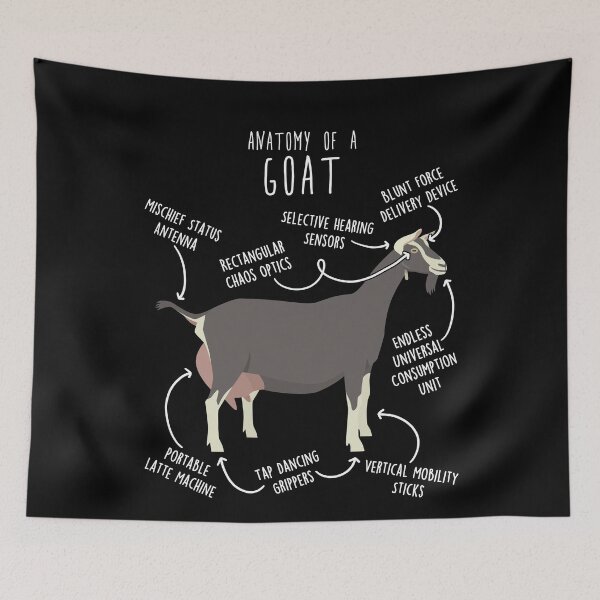Item preview, Toggenburg Goat Anatomy designed and sold by Clara Hollins.
