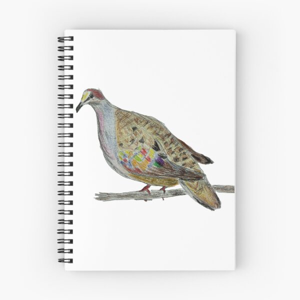 Item preview, Common Bronzewing designed and sold by woodland-towers.