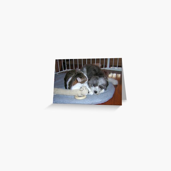 FRIENDS Greeting Card
