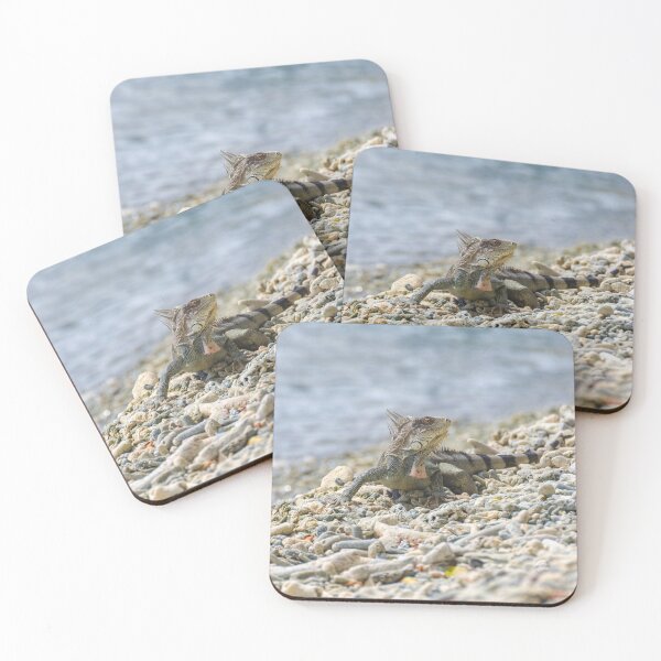 Item preview, Iguana Posing on Coral Beach designed and sold by Kasia Design.