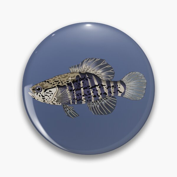 Item preview, Banded Pygmy Sunfish designed and sold by LittleClayFrog.