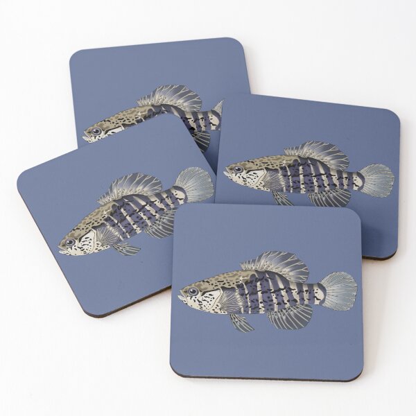 Item preview, Banded Pygmy Sunfish designed and sold by LittleClayFrog.
