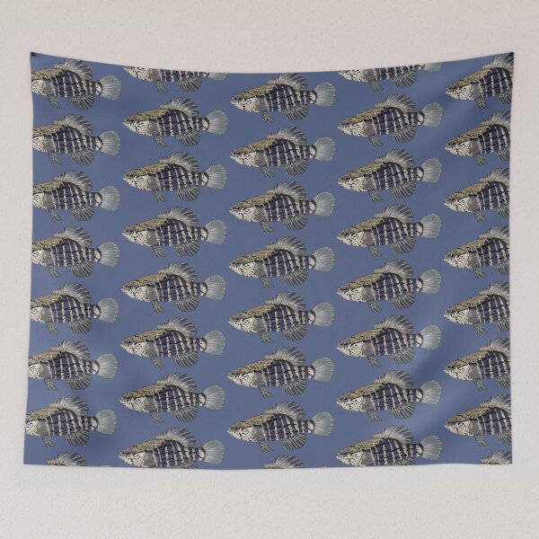 Item preview, Banded Pygmy Sunfish designed and sold by LittleClayFrog.