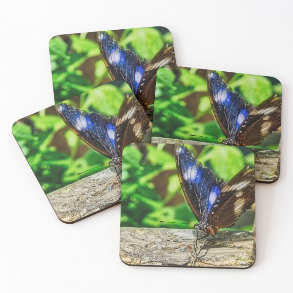 Item preview, Blue Butterfly Resting on Weathered Timber designed and sold by wendyhattonphotography.