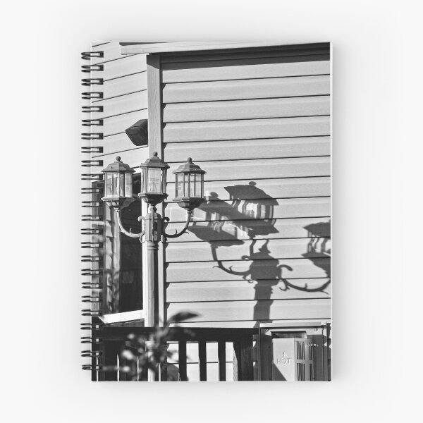 Item preview, Elegant Shadow Play on House Exterior designed and sold by HenryHog.