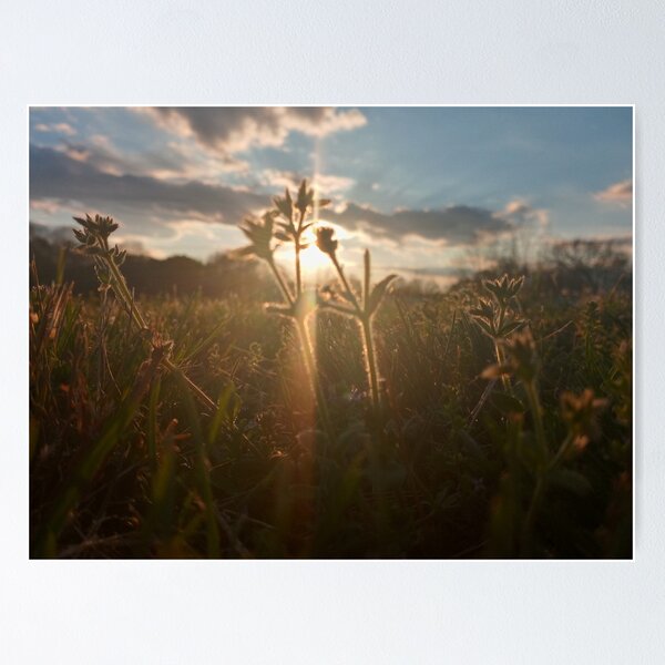 Item preview, spring dawn designed and sold by Ameth3st Works.