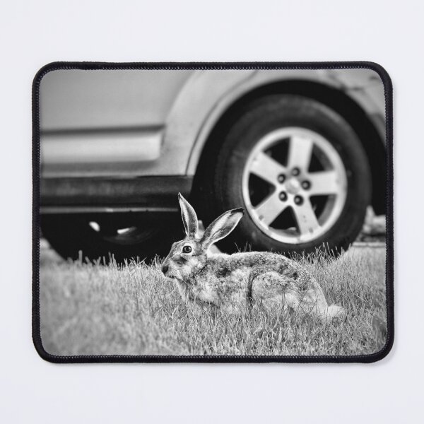 Item preview, Urban Rabbit in Black and White designed and sold by HenryHog.