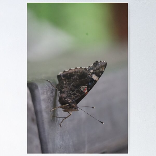 Item preview, painted lady designed and sold by Ameth3st Works.