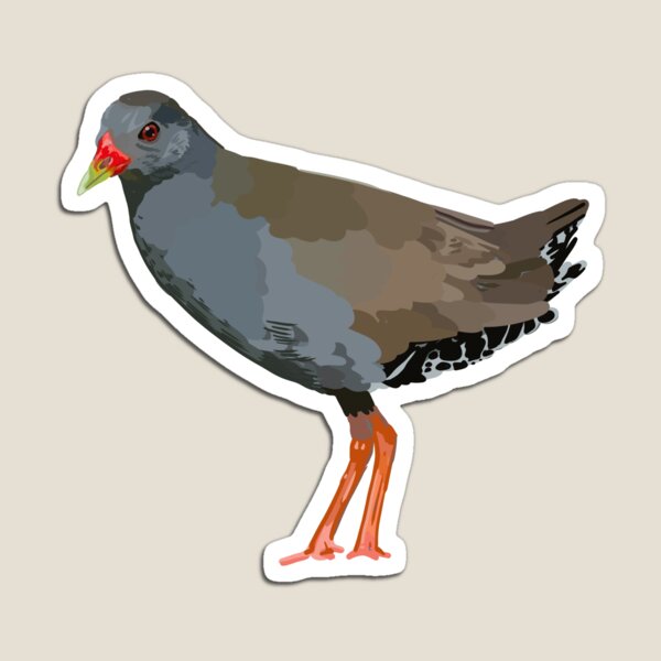 Item preview, Aves de Costa Rica9 designed and sold by PiperLemon.