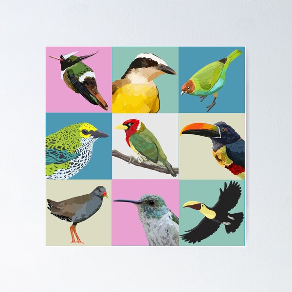 Item preview, Aves de Costa Rica10 designed and sold by PiperLemon.