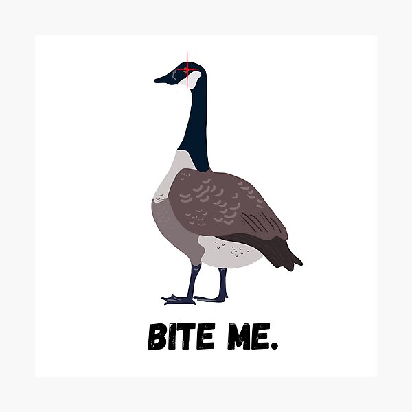 Item preview, Bite Me Goose Sticker  designed and sold by Quirky-Doodles.