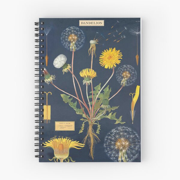 Item preview, Vintage Botanical Dandelion Illustration for Cottagecore Nature Lovers designed and sold by RickE.