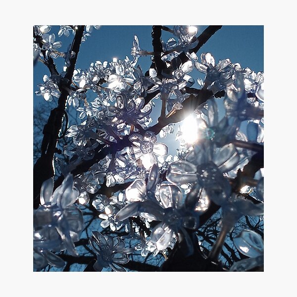 Item preview, ice tree designed and sold by Ameth3st Works.