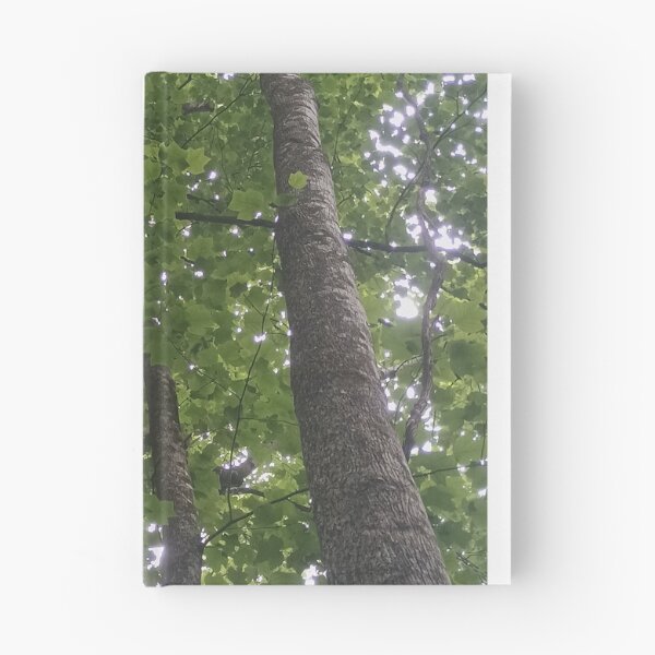 Item preview, summer trees designed and sold by Ameth3st Works.
