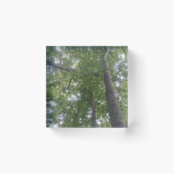 Item preview, summer trees designed and sold by Ameth3st Works.
