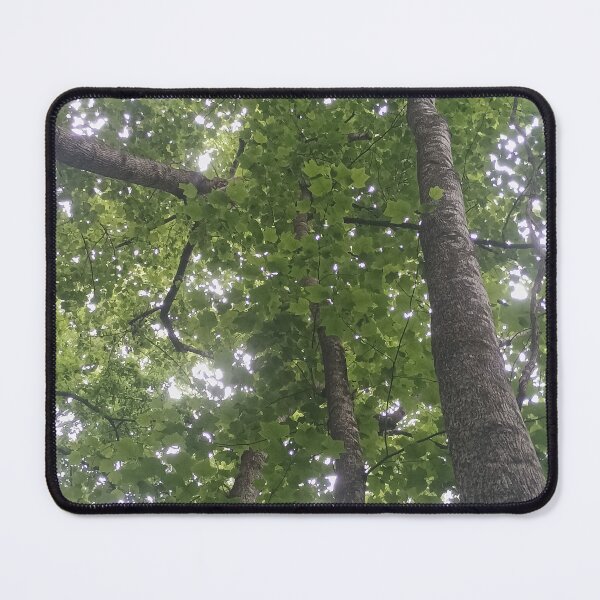 Item preview, summer trees designed and sold by Ameth3st Works.