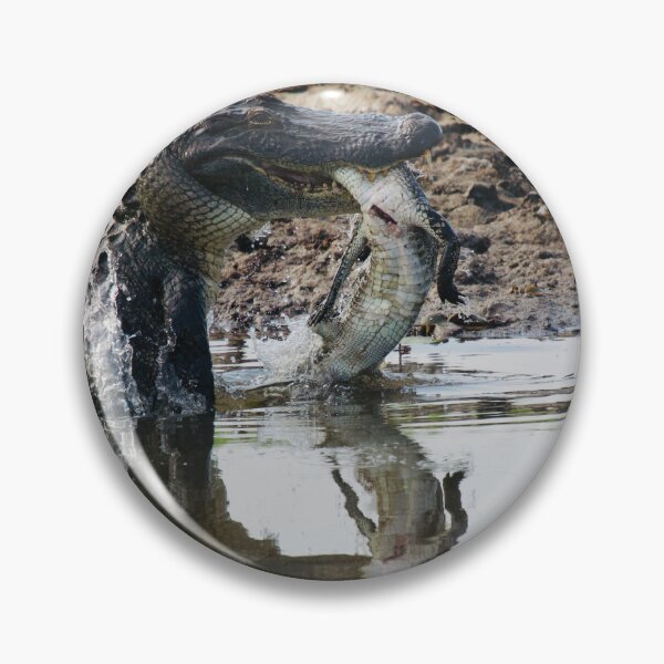 Artikelvorschau, Sind Alligatoren Dinosaurier? entworfen und verkauft von WackAbstracts.