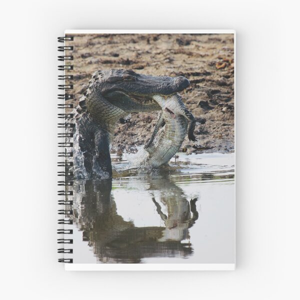 Artikelvorschau, Sind Alligatoren Dinosaurier? entworfen und verkauft von WackAbstracts.