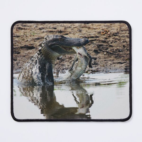 Item preview, Are Alligators Dinosaurs? designed and sold by WackAbstracts.
