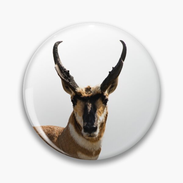 Item preview, Pronghorn buck designed and sold by Backyardtrail.