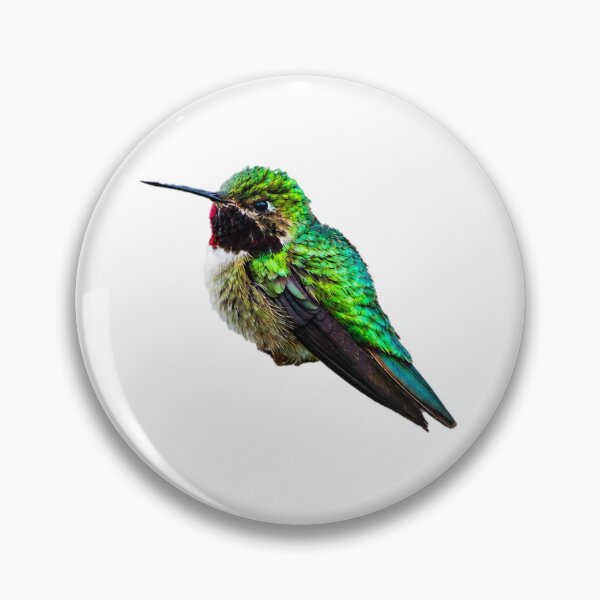 Item preview, Humming Bird designed and sold by Backyardtrail.