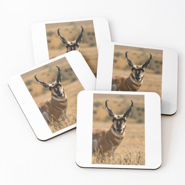 Item preview, Pronghorn buck designed and sold by Backyardtrail.