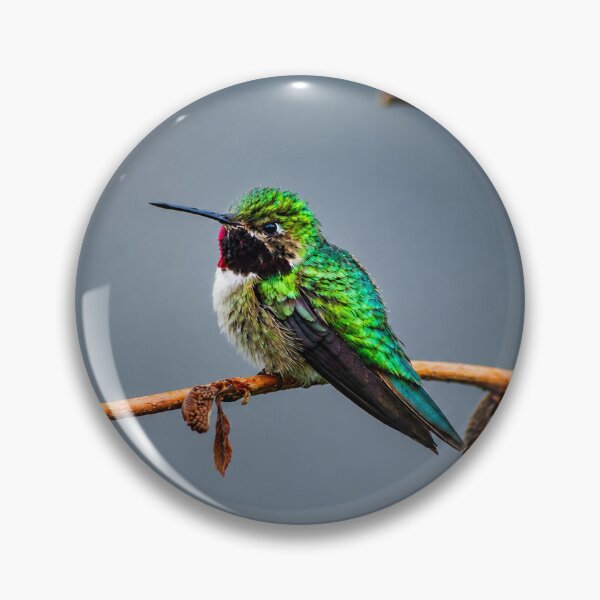 Item preview, Humming Bird designed and sold by Backyardtrail.