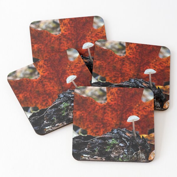 Item preview, Maple Mushroom designed and sold by The Wild Healing.