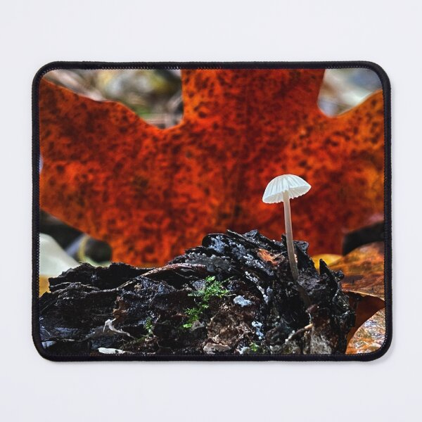 Item preview, Maple Mushroom designed and sold by The Wild Healing.