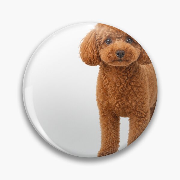 Item preview, Red Toy Poodle Forever Family Japanese Design designed and sold by ArtPrintPov.