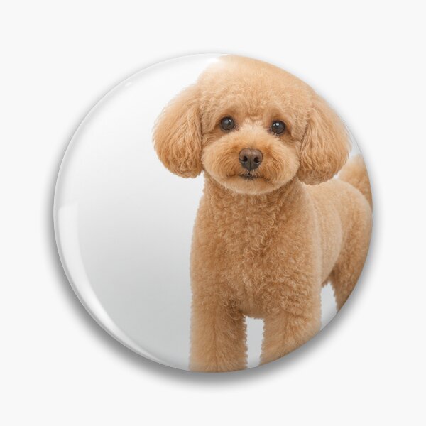 Item preview, Apricot Toy Poodle Always Together Japanese Design designed and sold by ArtPrintPov.