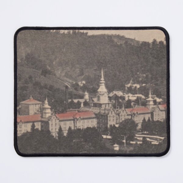 Item preview, Trans-Allegheny Lunatic Asylum (Weston, West Virginia) Vintage Postcard – Sepia Aerial View designed and sold by GhostlyWorld.