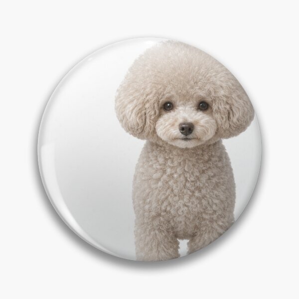 Item preview, Silver Beige Toy Poodle Never Forget Design designed and sold by ArtPrintPov.