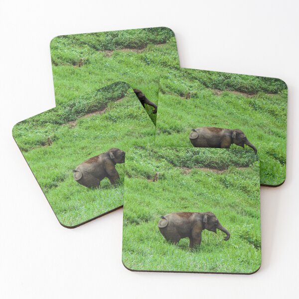 Item preview, Little One in the Green — Baby Elephant designed and sold by Jomsunshine.