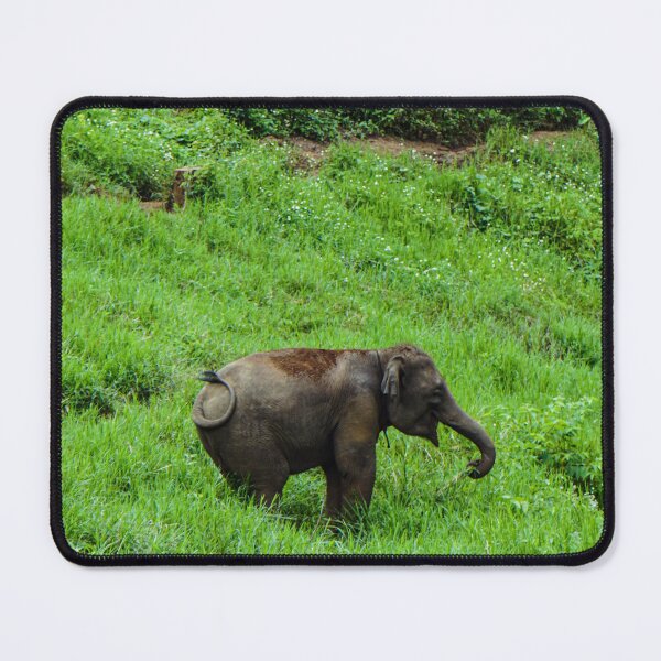 Item preview, Little One in the Green — Baby Elephant designed and sold by Jomsunshine.