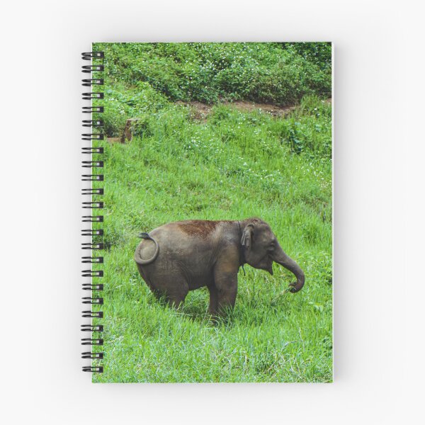 Item preview, Little One in the Green — Baby Elephant designed and sold by Jomsunshine.