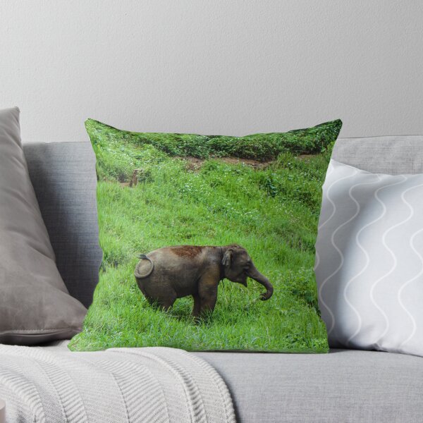 Item preview, Little One in the Green — Baby Elephant designed and sold by Jomsunshine.